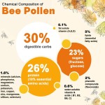 Bee Pollen Gummies Manufacturer - OEM 1000mg Propolis Royal Jelly Rich in Vitamin B