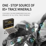 Natural Shilajit Resin Manufacturer - Organic Dry Drops Tablets Trace Minerals Complex Energy