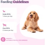 Dog Treats Supplier - Wholesale Probiotic Omega3 Fish Oil Multivitamin Chews 15 in 1 Premium