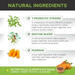 Dog Probiotics Soft Chews Manufacturer - Custom Digestive Probiotic Vitamins Immunity Health