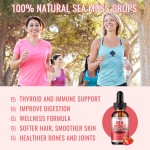 Sea Moss Liquid Drops Factory - OEM Organic Irish Gel with Burdock Root Immune Detox