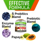 Dog Probiotics Treats Factory - Digestive Enzymes Prebiotics Chewable Fiber Improve Digestion