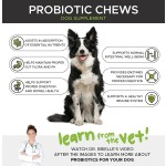 Dog Probiotics Soft Chews Manufacturer - Custom Digestive Probiotic Vitamins Immunity Health