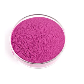 Organic Wild Blueberry Powder Manufacturer - Private Label Natural Fruit Powder
