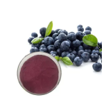 Organic Blueberry Fruit Powder Manufacturer - Freeze Dried Blueberry Extract Powder OEM/ODM Private Label