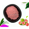 Henan Hongze Pharmaceutical Technology Co., Ltd.