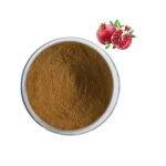 Pomegranate Powder Manufacturer - Private Label High Quality Fresh Pomegranate Powder OEM/ODM