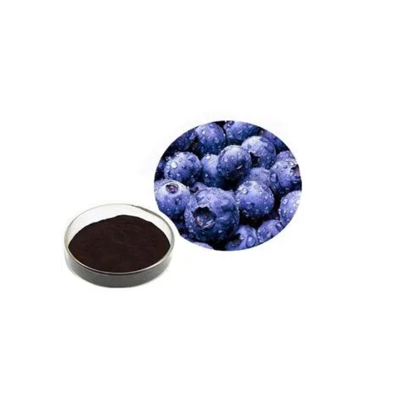 Wholesale Blueberry Extract Powder Manufacturer - Fruit Extract Anthocyanin Powder OEM/ODM