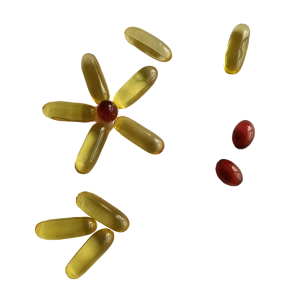 Omega 3 Fish Oil Softgel Manufacturer - OEM/ODM Bulk Capsules for Adult Nature Made Supplement