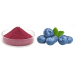 Organic Blueberry Fruit Powder Manufacturer - Freeze Dried Blueberry Extract Powder OEM/ODM Private Label