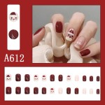 Press-On Nails Packaging Factory - Wholesale Christmas Design ABS Acrylic French Reusable Box DIY