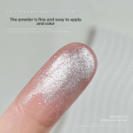 Nail Powder Manufacturer - Sky Mirror Ultra Shiny Moonlight Chrome White Aurora Glitter Dust Professional
