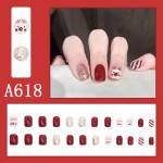 Press-On Nails Packaging Factory - Wholesale Christmas Design ABS Acrylic French Reusable Box DIY