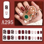 Press-On Nails Packaging Factory - Wholesale Christmas Design ABS Acrylic French Reusable Box DIY