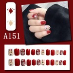 Press-On Nails Packaging Factory - Wholesale Christmas Design ABS Acrylic French Reusable Box DIY