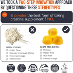 Curcumin Powder Manufacturer - Superfood Pure Plant Turmeric Extract 95% with Black Pepper