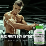 Mass Gainer Powder Supplier - Gym Supplement Sports Supplement Weight Gainer Protein 4lbs