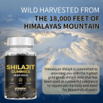 Jujube Extract Powder Supplier - Chinese Food Grade Dry Red Date Bilberry Herbal Extract Vitamin