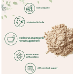 Mango Fruit Powder Manufacturer - Organic Natural Spray Dried Mango Powder Mango Juice Powder