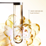 Gummy Candy Factory - OEM Halal Customized Giant American Bear Shape Hard Texture Fruit