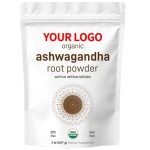 Mango Fruit Powder Manufacturer - Organic Natural Spray Dried Mango Powder Mango Juice Powder