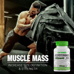 Mass Gainer Powder Supplier - Gym Supplement Sports Supplement Weight Gainer Protein 4lbs