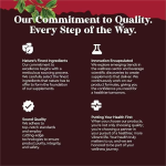 Shilajit Resin Supplier - OEM Pure Shilajit Original Gold Grade 100% Pure Himalayan 85+ Minerals