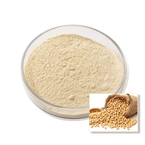 Stevia Extract Powder Supplier - Pure Zero Calorie Gluten-Free Sweetener 40mg Per Serving 1kg