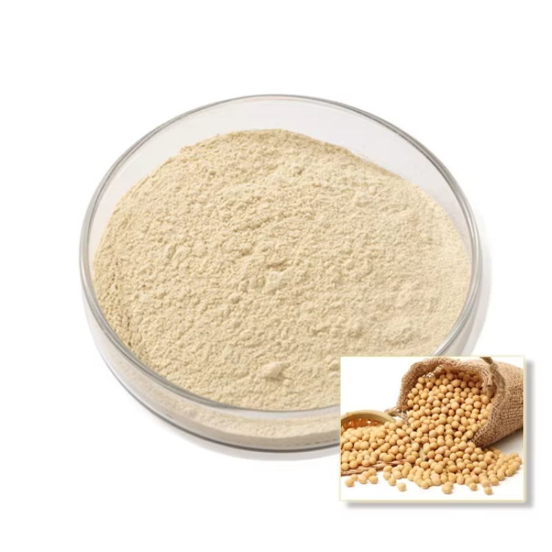 Stevia Extract Powder Supplier - Pure Zero Calorie Gluten-Free Sweetener 40mg Per Serving 1kg