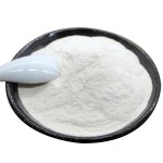 Date Powder Supplier - Wholesale High Quality Organic Food Grade Red Date Palm Powder