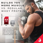 Whey Protein Mass Gainer Factory - High Quality Sport Nutrition Wholesale Sports Supplements