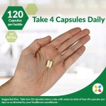 Maca Tablets Manufacturer - Herbal Strength Supplement Pure Maca Tongkat Ali Reishi Vitality