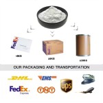 Chia Seed Extract Powder Factory - Hot Selling 10:1 Concentrated Organic Wild Grown Protein