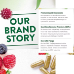 Weight Loss Capsules Manufacturer - At Competitive Price Pure Vitamins Organic Bitter Melon Extract