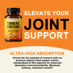 Curcumin Powder Manufacturer - Hot Sales 1500mg Turmeric Curcumin 95% Extract Joint Support