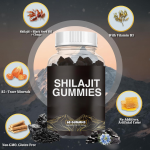 Shilajit Capsules Manufacturer - 2025 Hot Selling Organic Herbal Supplement Energy Improve Immunity