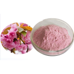 Rose Powder Factory - Bulk Price Nutritional Rose Powder Natural Rose Juice Powder