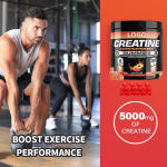 Curcumin Powder Manufacturer - Superfood Pure Plant Turmeric Extract 95% with Black Pepper