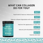 Collagen Drink Supplier - Wholesale Multi Flavored Private Label Vitamin C Bovine Collagen Powder