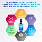 Chlorophyll Drops Supplier - Hot-selling Private Label Customized Extreme 6000mg Bulk Water Syrup