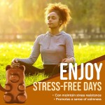 Mood Gummies Factory - Natural Tyrosine All-Natural Ashwagandha Gummies Lift Mood Gummy Candy