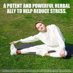 Magnesium Supplement Manufacturer - Wholesale Pure Organic Magnesium Ashwagandha Root Extract Capsules