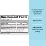 Creatine Powder Supplier - High Quality Creatine Monohydrate 500 Grams Pure Unflavored Powder