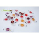 Curcumin Supplement Manufacturer - OEM Private Label 5% Curcuminoids BioPerine Black Pepper Extract