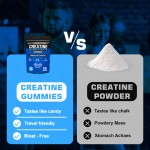 Creatine Gummies Supplier - Factory Price Creatine Monohydrate Gummies Pre Workout Energy Vegan
