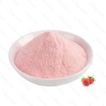 Ice Cream Powder Manufacturer - OEM/ODM High Quality Fresh Milk Flavor Healthy Delicious Powder