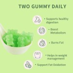 Green Tea Extract Gummies Supplier - Extra Strength Polyphenols Catcehins Standardized Concentrated Potency