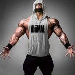 Gym Vest Supplier - Hot Sale New OEM Custom New Design Mens Gym Vest Wholesale Bodybuilding Tank
