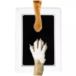 Infant Hand Foot Stamp Manufacturer - Inkless Infant Hand Foot Stamp Kit Clean Pet Paw Print Family Gift