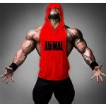 Gym Vest Supplier - Hot Sale New OEM Custom New Design Mens Gym Vest Wholesale Bodybuilding Tank